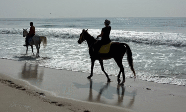 Horse riding along Salalah beach at sunset