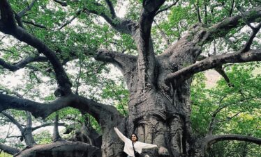 Visitors exploring the giant Baobab Tree on East Salalah day trip