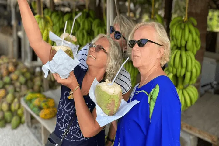 Coconut plantation in Salalah during Salalah City Tour