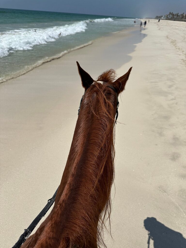 Private horse riding tour on Salalah coastline
