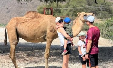 Grazing camels at Wadi Darbat Salalah mountain safari