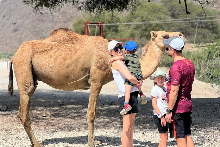 Family with a camel in Wadi Darbat, Salalah