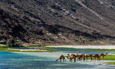 West Salalah Fazayah Beach Tour - Fazayah Beach Dhofar Oman