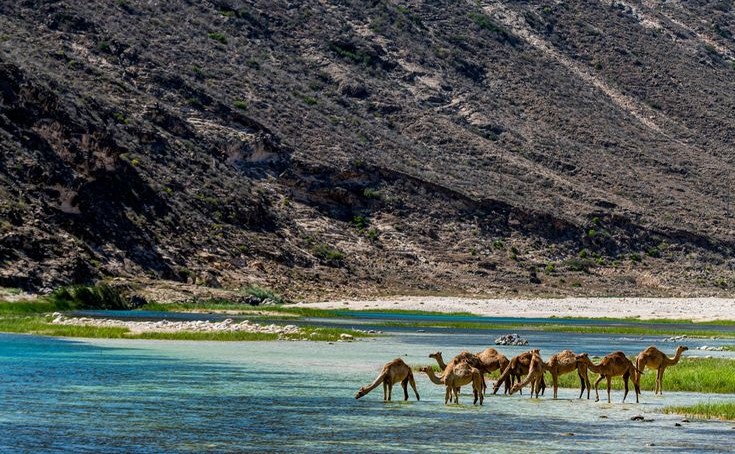 West Salalah Fazayah Beach Tour - Fazayah Beach Dhofar Oman
