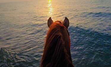 Horse riding along Salalah beach at sunset