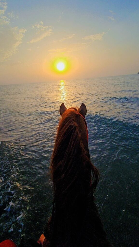 Horse riding along Salalah beach at sunset