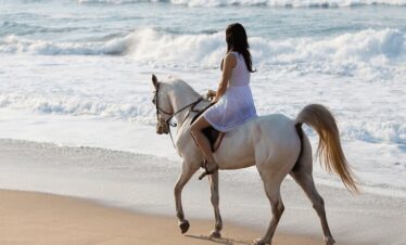 Horse riding along Salalah beach at sunset