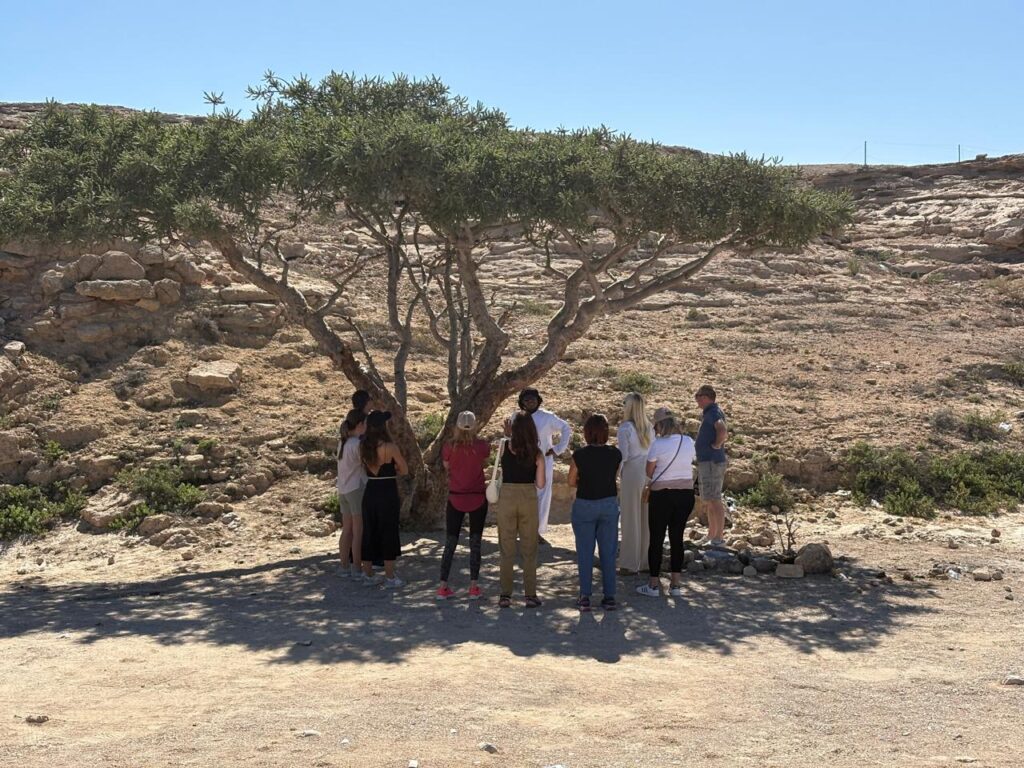 Frankincense trees Wadi Dawka Salalah