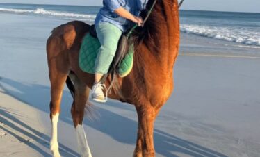 Private horse riding tour on Salalah coastline
