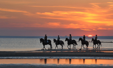 Private horse riding tour on Salalah coastline