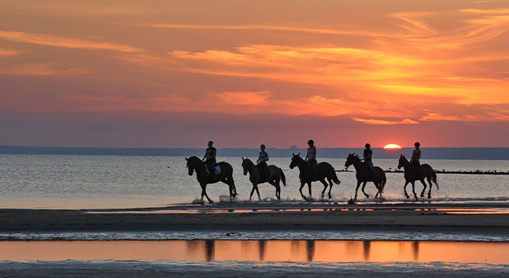 Private horse riding tour on Salalah coastline