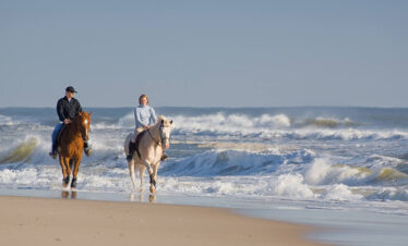 Beach horse riding experience in Salalah Oman