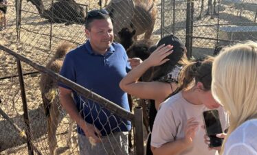 Black camel farm Salalah tour