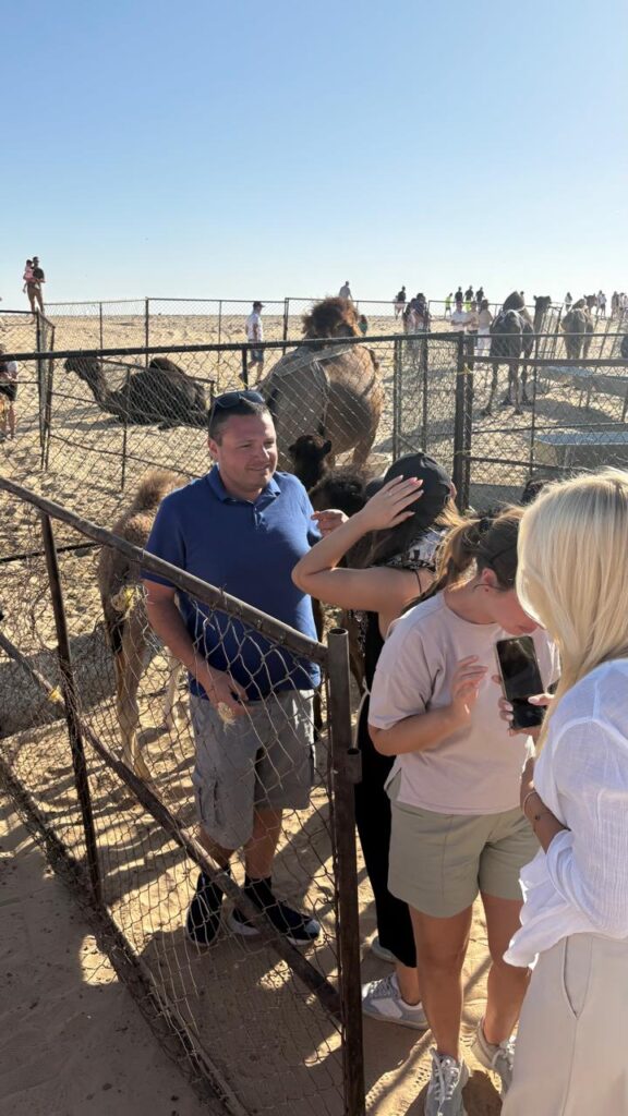Black camel farm Salalah tour