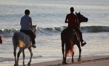 Horse riding along Salalah beach at sunset