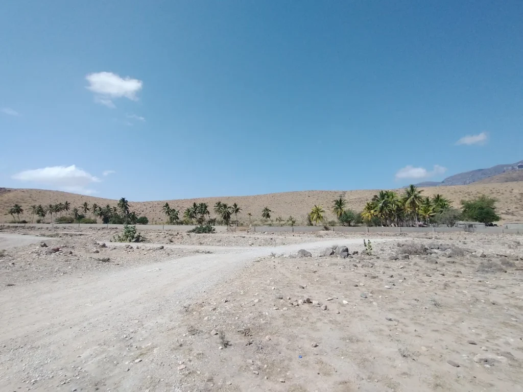 Guided hiking tour at Ayn Ghaidh Salalah