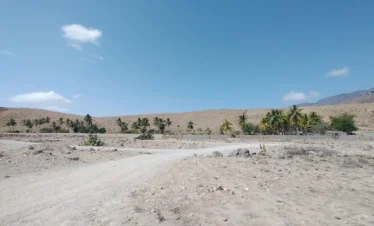 Guided hiking tour at Ayn Ghaidh Salalah