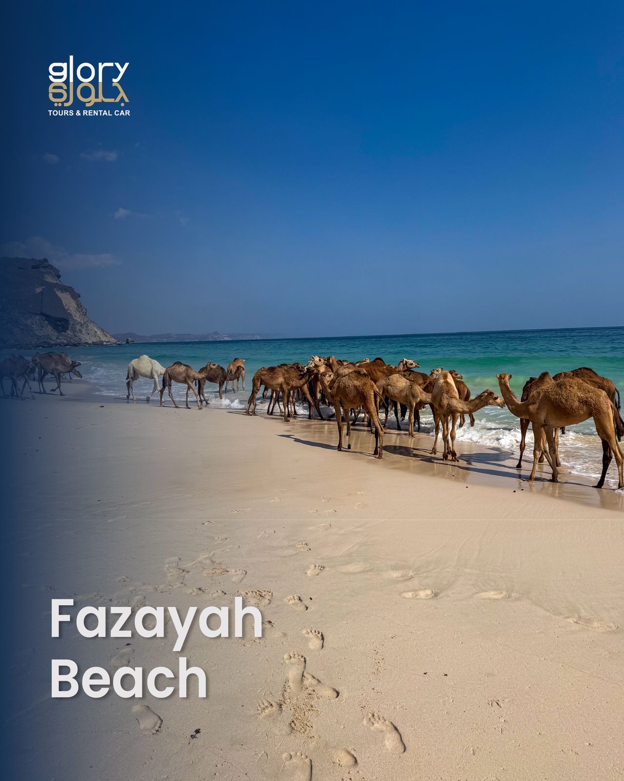 Fazayah Beach Salalah with camels on white sand