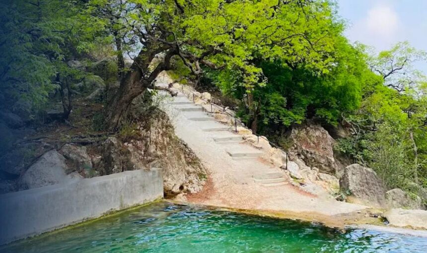 Ayn Hashir Salalah: 7 Stunning Secrets of Oman’s Hidden Natural Gem (2026 Guide)