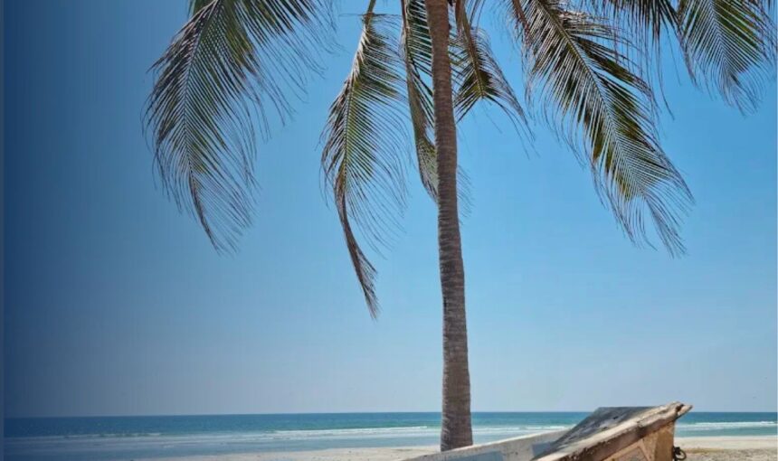 Taqa Beach Salalah: 8 Incredible Highlights You Shouldn’t Miss