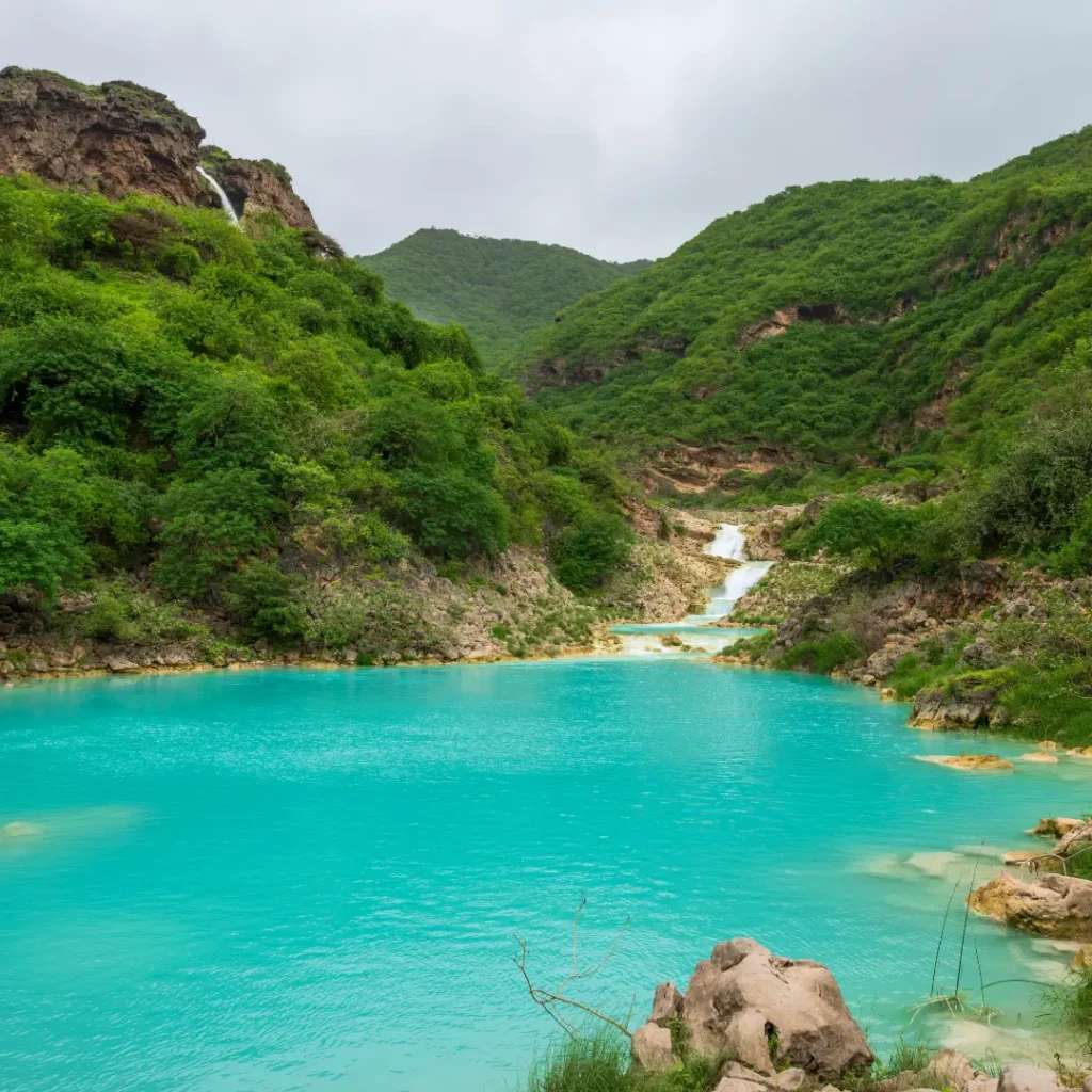 Khareef Season in Salalah