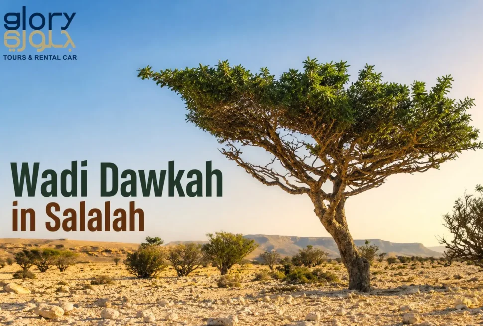 Wadi Dawkah Salalah