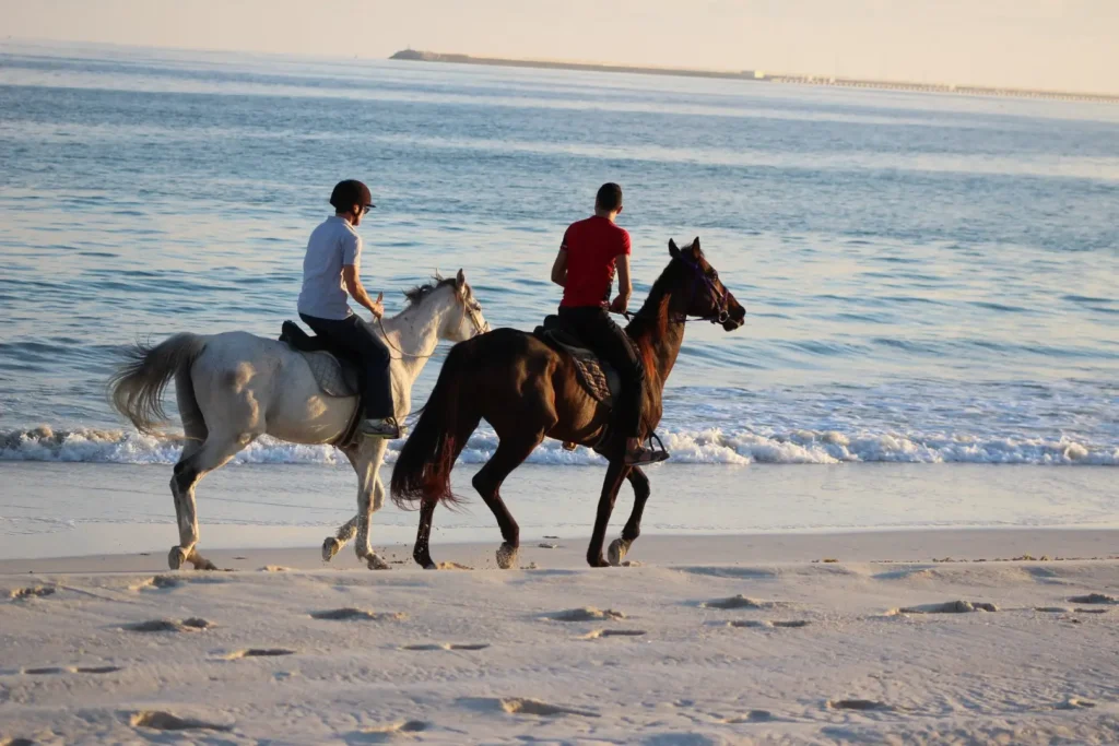 Horse Riding on Salalah Beach