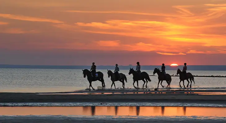 Horse Riding on Salalah Beach