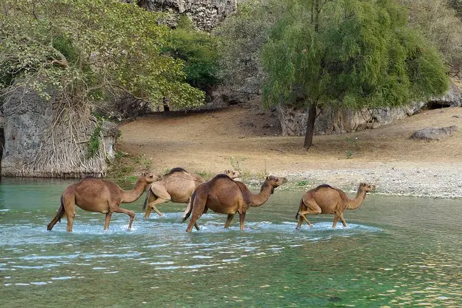 Natural Springs in Salalah
