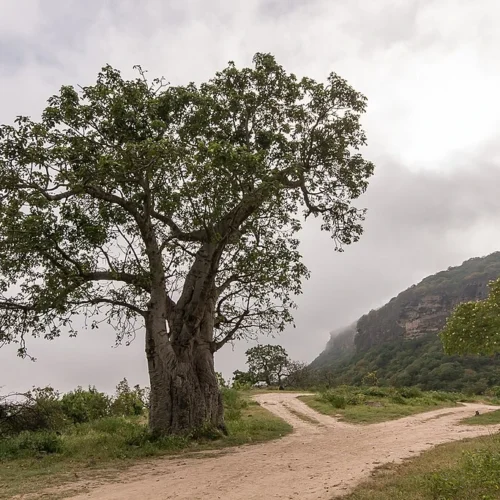 Khareef Salalah Package With Shopping