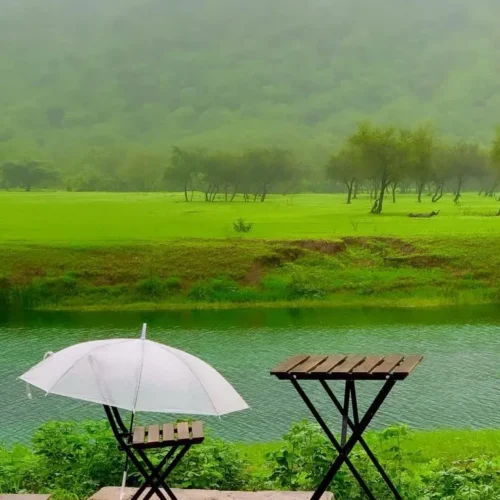 Wadi Darbat - Khareef Salalah 2026
