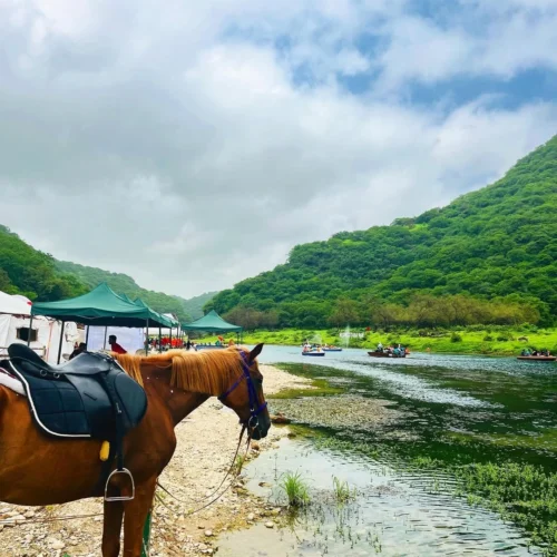 Khareef Salalah 2026