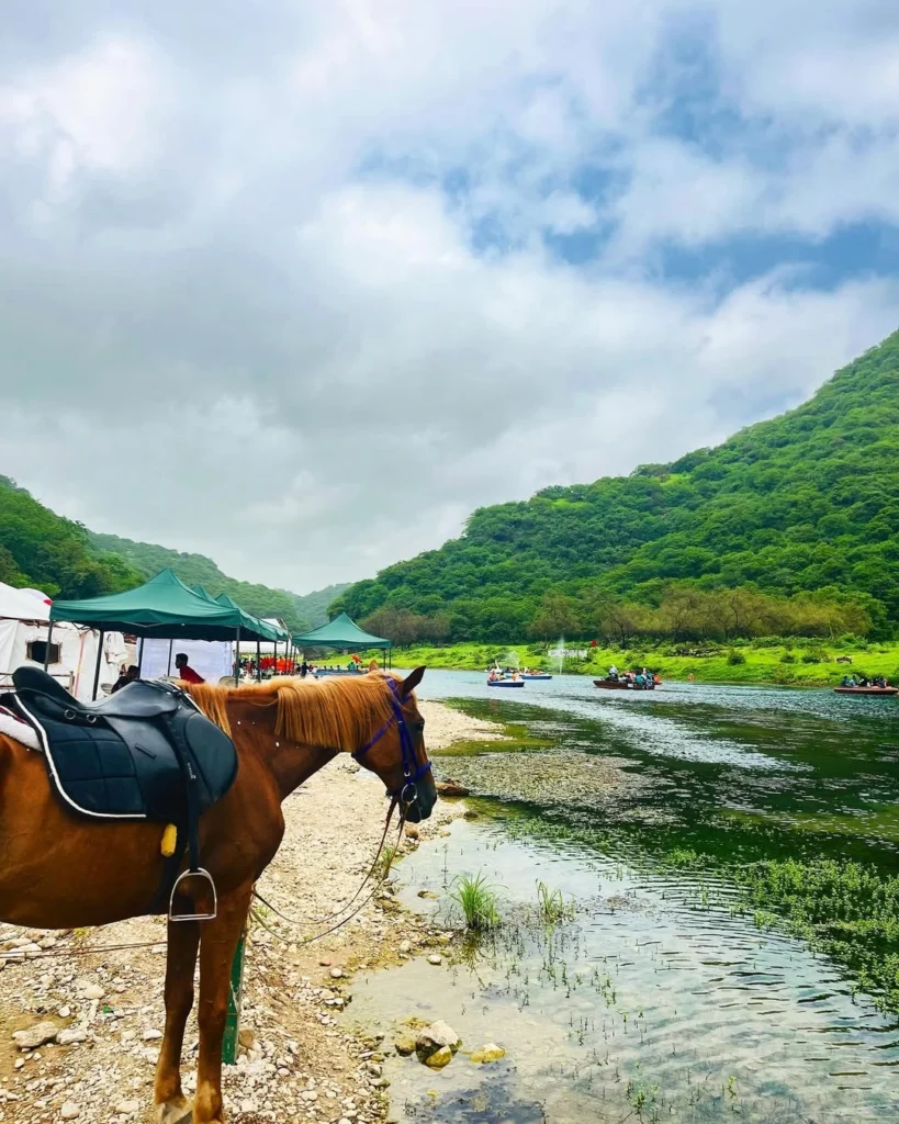 Khareef Salalah 2026