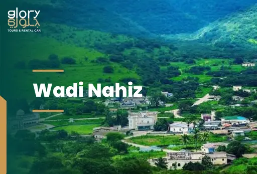 Wadi Nahiz in Salalah: Complete Travel Guide for Visitors