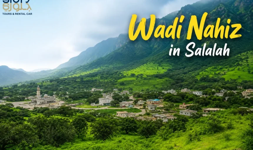 Wadi Nahiz in Salalah: Complete Travel Guide for Visitors