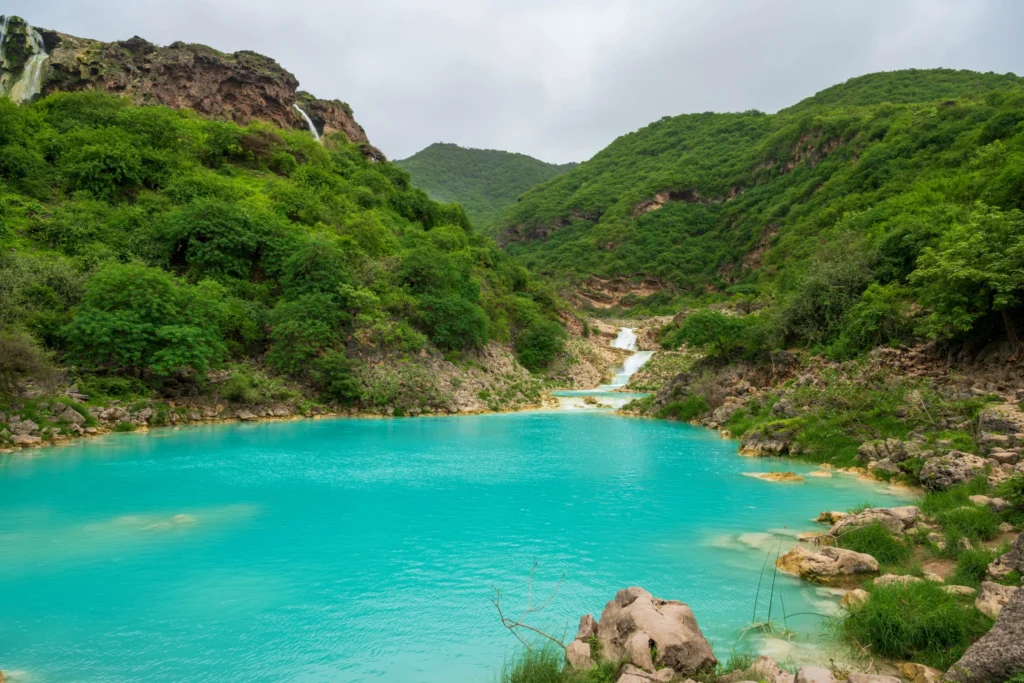 Al Sarb Season in Salalah
