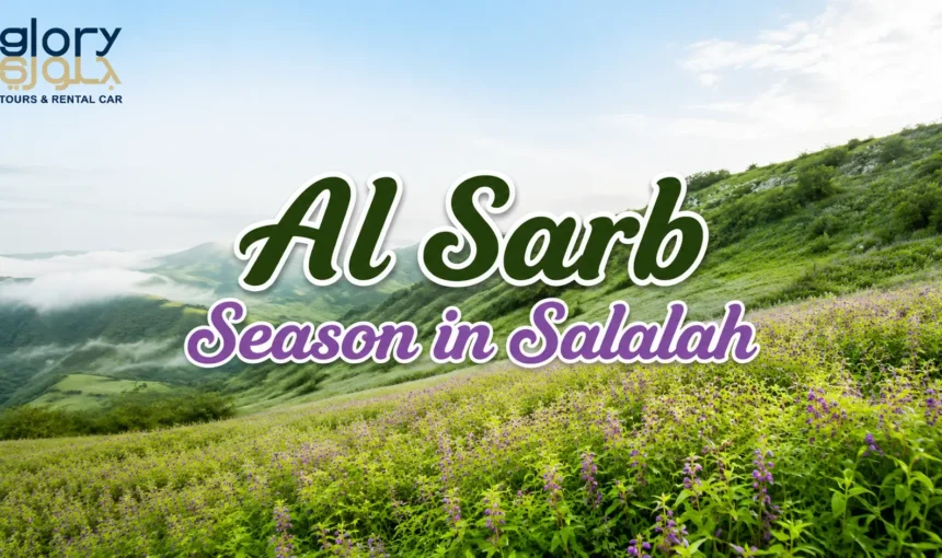 Al Sarb Season in Salalah: Discover Dhofar’s Best Kept Secret