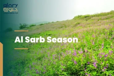 Al Sarb Season in Salalah