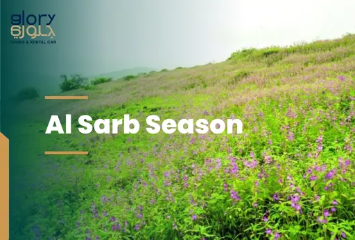 Al Sarb Season in Salalah