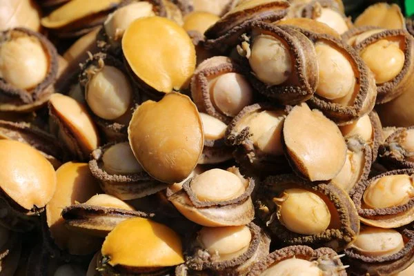 Local Food In Salalah
