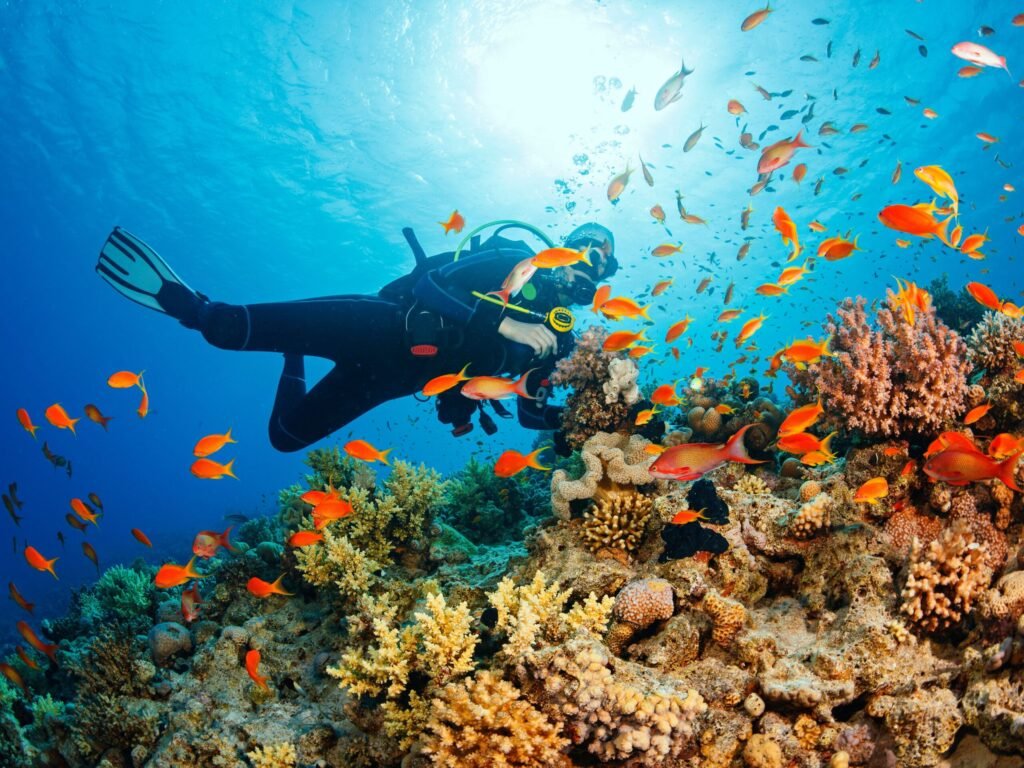Adventure Activities in Muscat