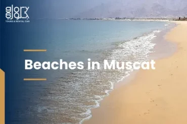 Beaches in Muscat
