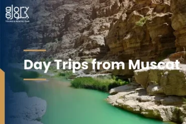 Day Trips from Muscat