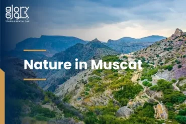 Nature in Muscat
