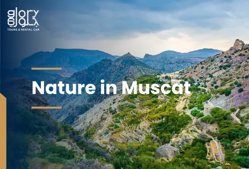 Nature in Muscat