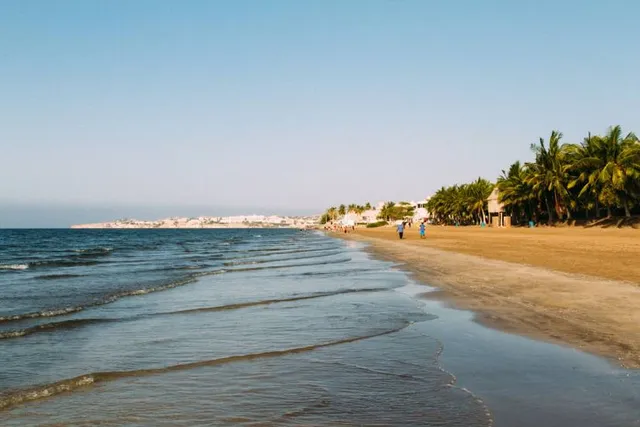 Nature in Muscat