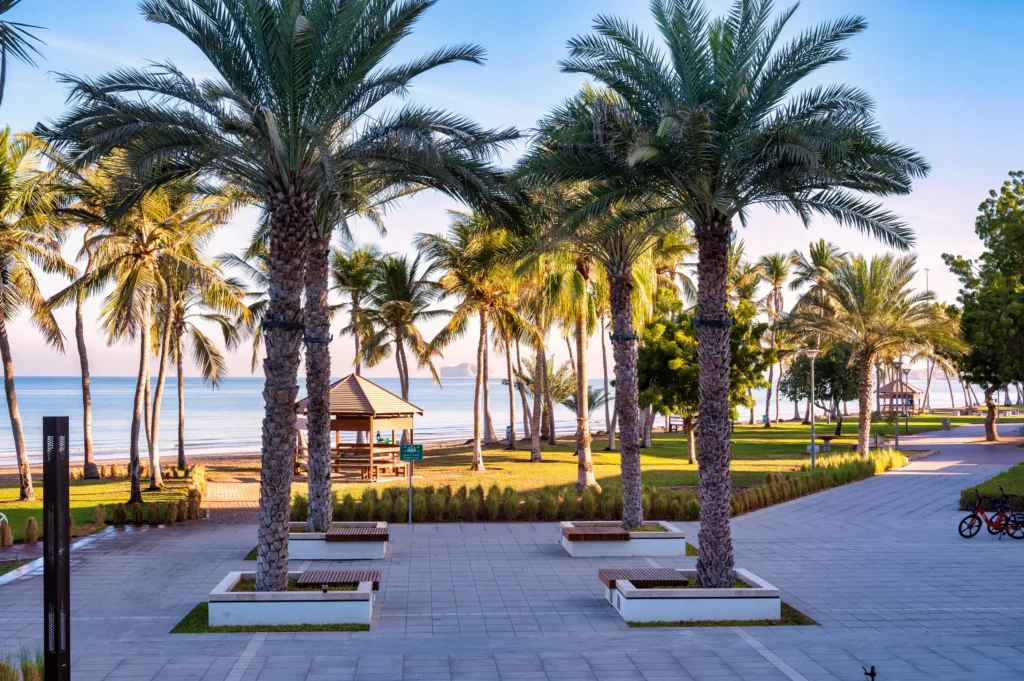 Top Attractions in Muscat